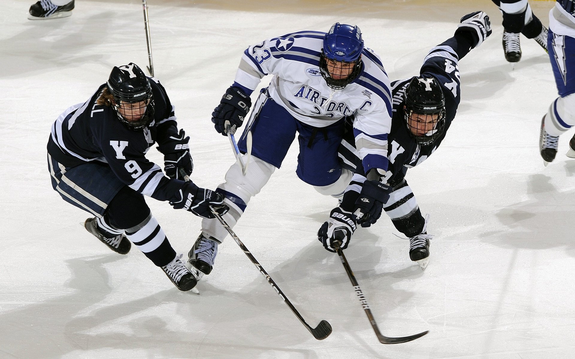 霍芬海姆团队齐心协力，成功获胜